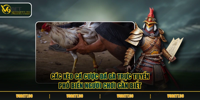 Các kèo cá cược đá gà trực tuyến phổ biến người chơi cần biết