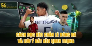Cách Đọc Kèo Chẵn Lẻ Bóng Đá Và Lưu Ý Bắt Kèo Quan Trọng