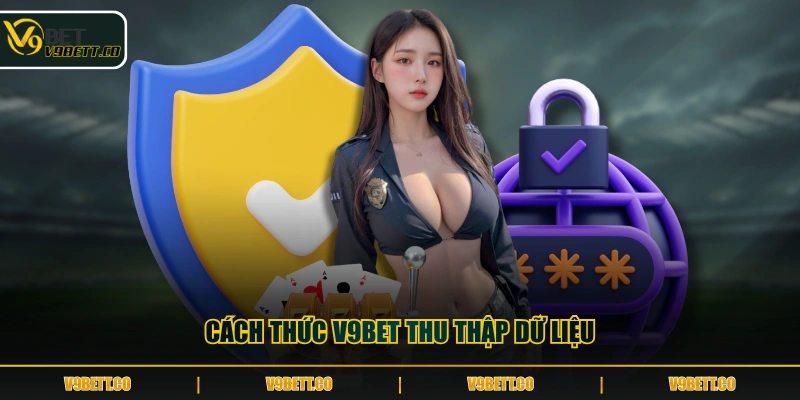 Cách thức V9BET thu thập dữ liệu