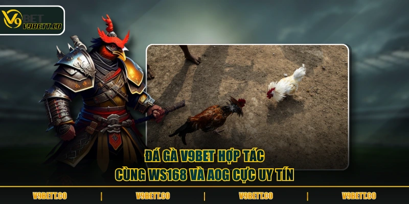 Đá gà V9BET hợp tác cùng WS168 và AOG cực uy tín
