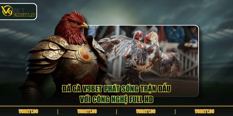 Đá gà V9BET phát sóng trận đấu với công nghệ full HD
