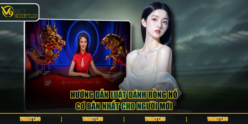 Hướng dẫn luật đánh Rồng Hổ cơ bản nhất cho người mới
