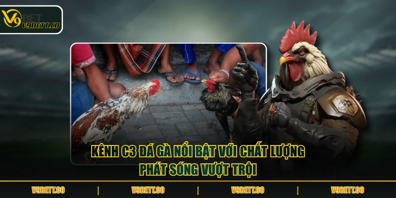 Kênh C3 đá gà nổi bật với chất lượng phát sóng vượt trội
