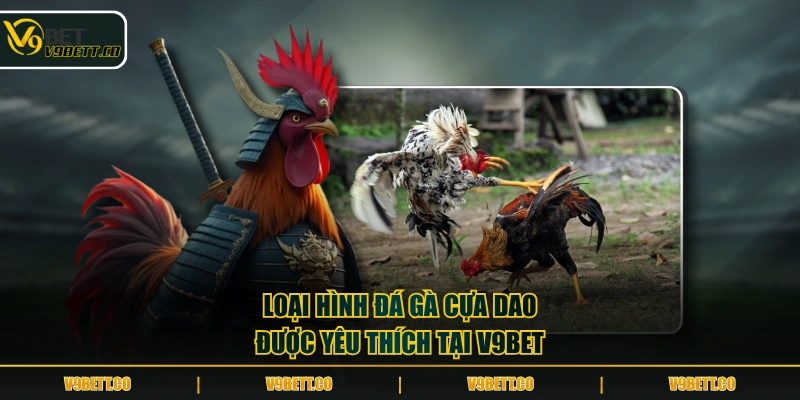 Loại hình đá gà cựa dao được yêu thích tại V9BET