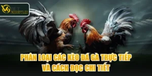 Phân Loại Các Kèo Đá Gà Trực Tiếp Và Cách Đọc Chi Tiết