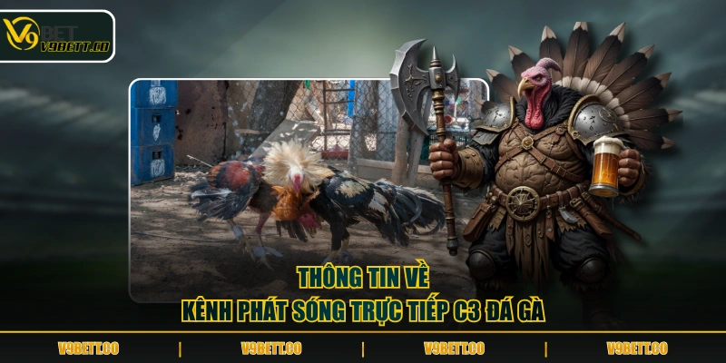 Thông tin về kênh phát sóng trực tiếp C3 đá gà