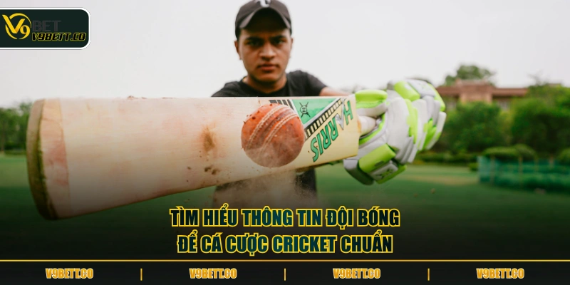 Tìm hiểu thông tin đội bóng để cá cược Cricket chuẩn