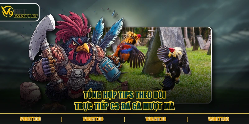 Tổng hợp tips theo dõi trực tiếp C3 đá gà mượt mà