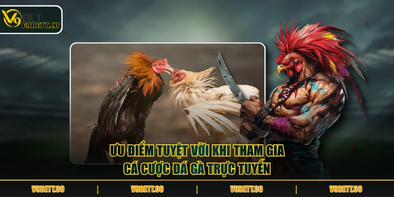 Ưu điểm tuyệt vời khi tham gia cá cược đá gà trực tuyến